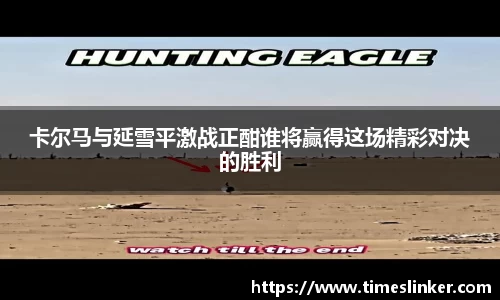 卡尔马与延雪平激战正酣谁将赢得这场精彩对决的胜利