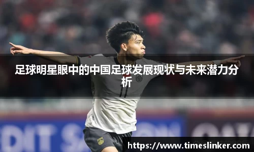 足球明星眼中的中国足球发展现状与未来潜力分析